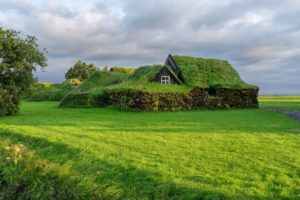 house, green, grass